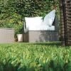 gazon synthétique 30 mm 25 x 4 m pâturages