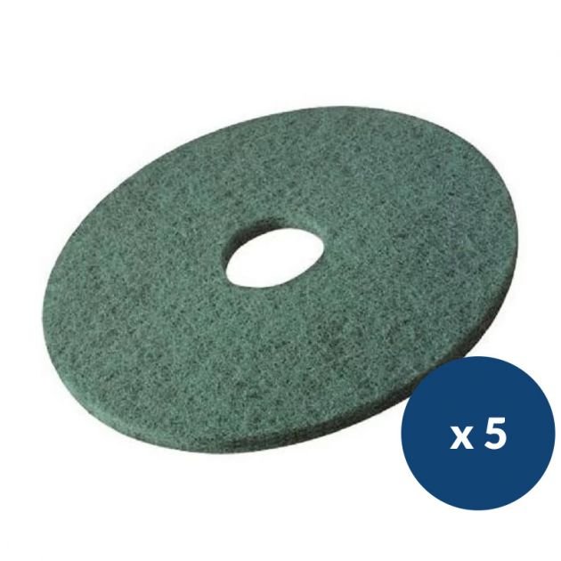 Disque de lavage et récurage vert Delcourt - lot de 5