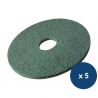 Disque de lavage et récurage vert Delcourt - lot de 5