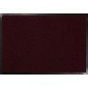 Tapis d'entrée grattant Capture rouleau 2 cm x 20 m PMR M3